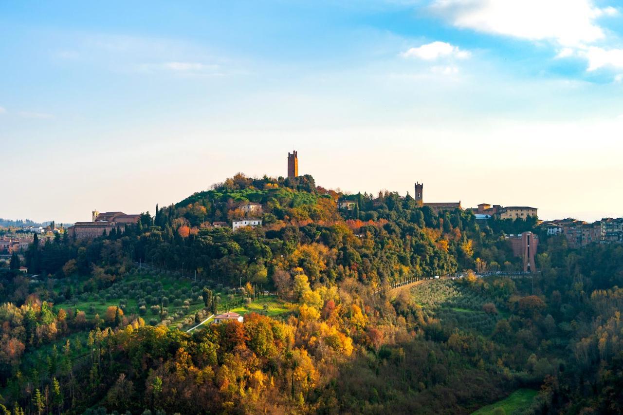 San Miniato - Terrazza Panoramica In Centro Storico公寓 外观 照片